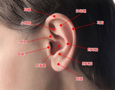 耳洞可以打哪裡 方榮八字收費